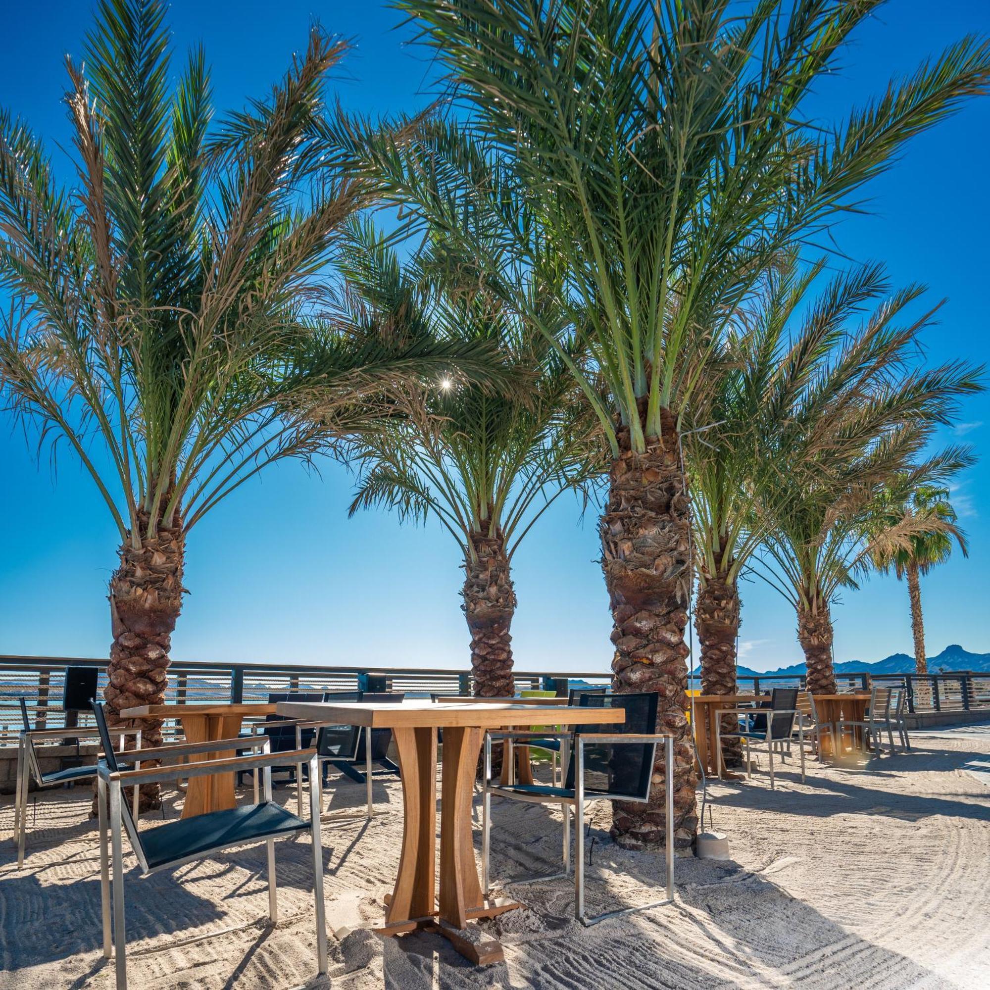 The Nautical Beachfront Resort Lake Havasu City Eksteriør billede