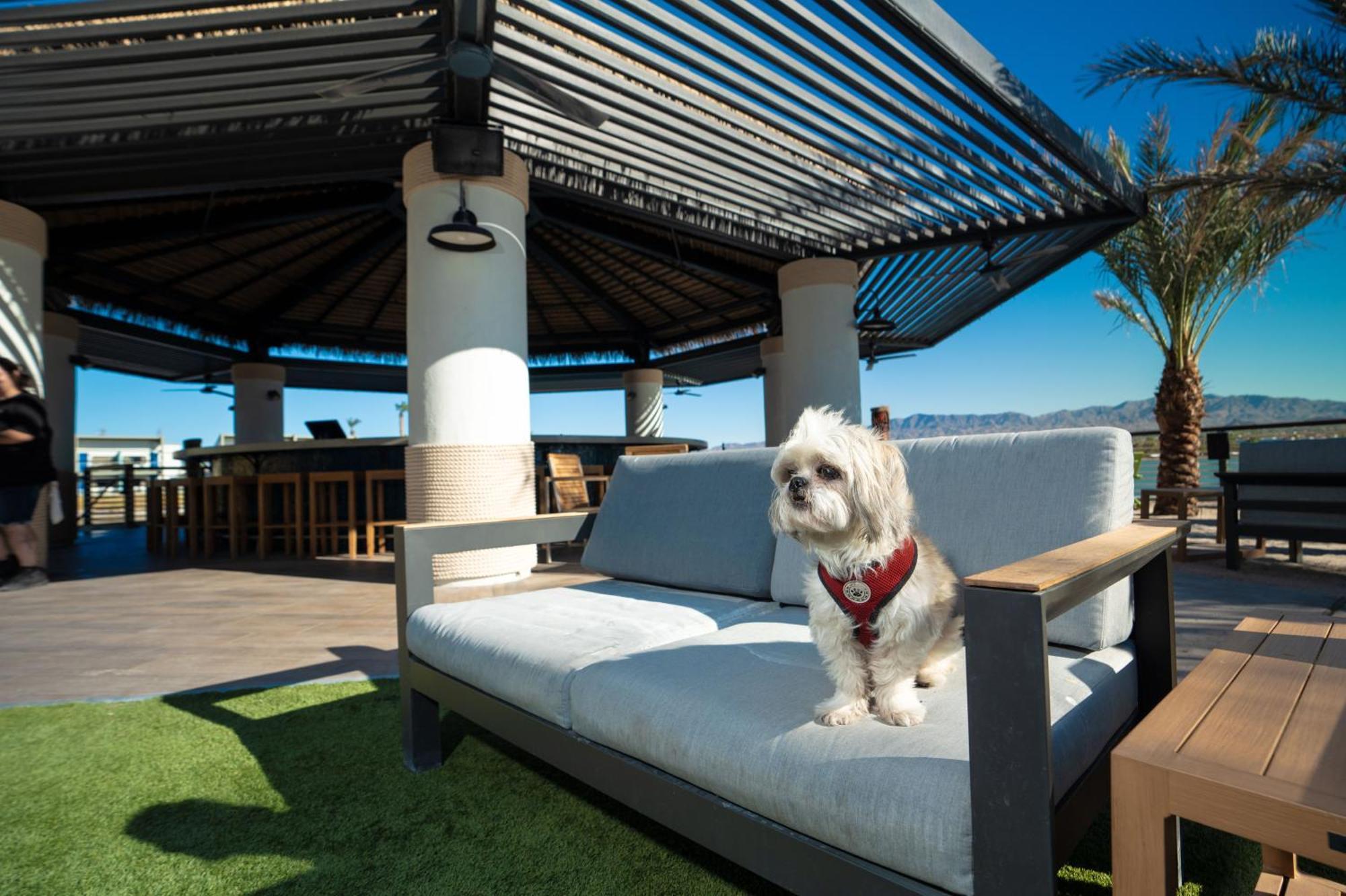The Nautical Beachfront Resort Lake Havasu City Eksteriør billede